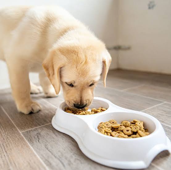 Feeding