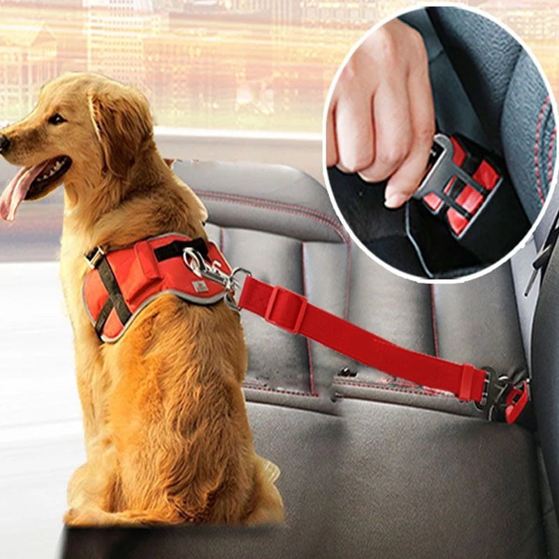 Adjustable Dog & Cat Car Seat Belt – Safe & Comfortable Pet Travel