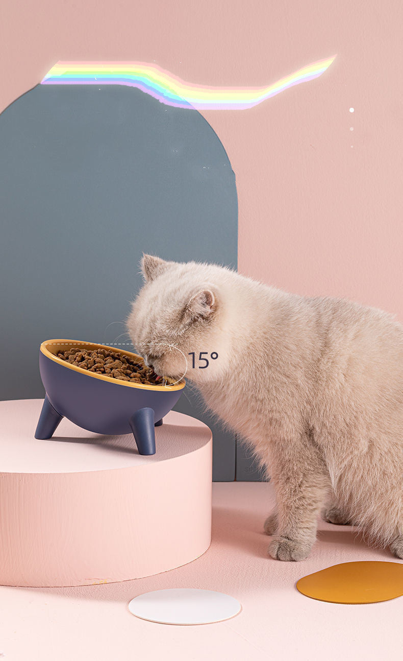 15° Elevated Pet Bowl with Stand – Comfortable Feeding for Cats & Dogs