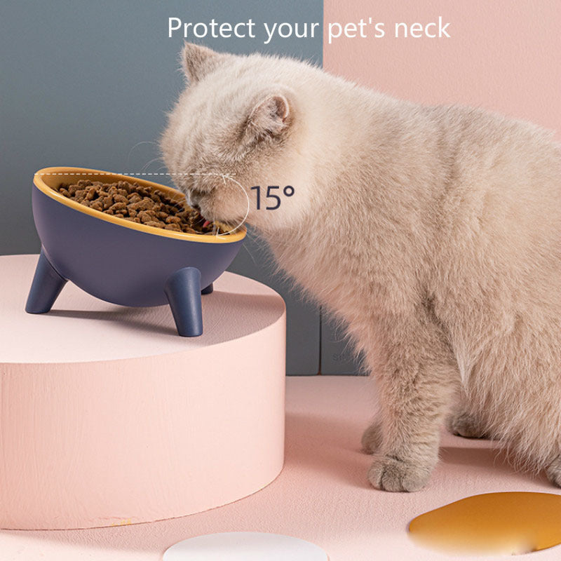 15° Elevated Pet Bowl with Stand – Comfortable Feeding for Cats & Dogs