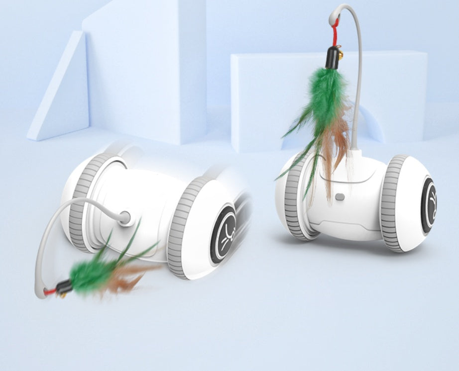 Interactive Cat Toy With Interchangeable Heads