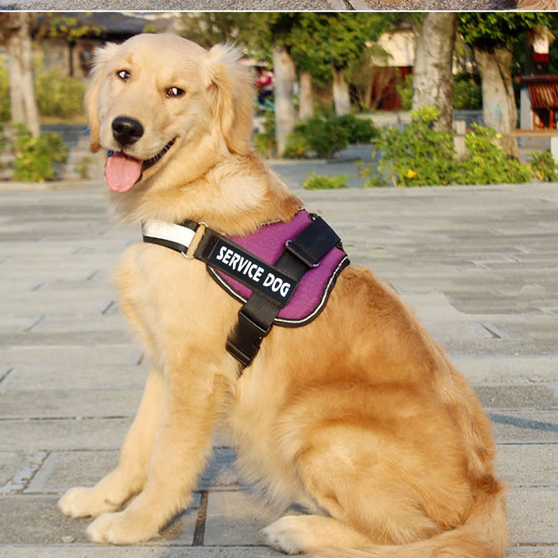 Adjustable Dog Harness with Leash – Comfortable & Secure Walking