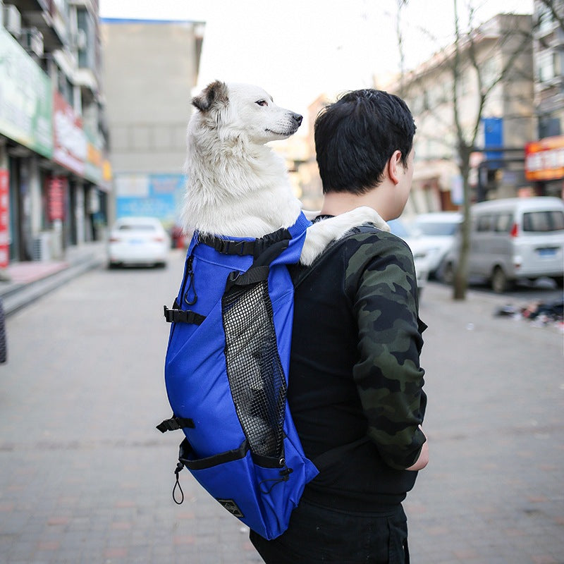 Portable Dog Carrier Backpack – Comfortable Travel Carrier for Small Dogs & Puppies