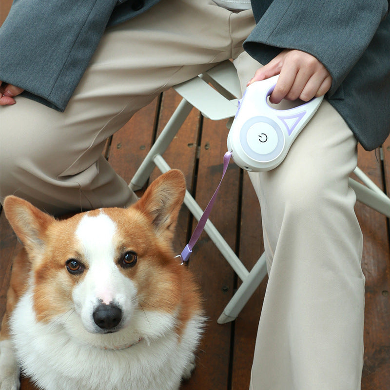 Retractable Dog Leash with Collar – 3M/5M Automatic No-Pull Pet Lead for Small, Medium & Large Dogs