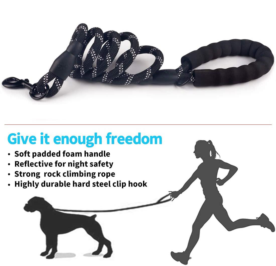 Dog Luminous Leash Chain