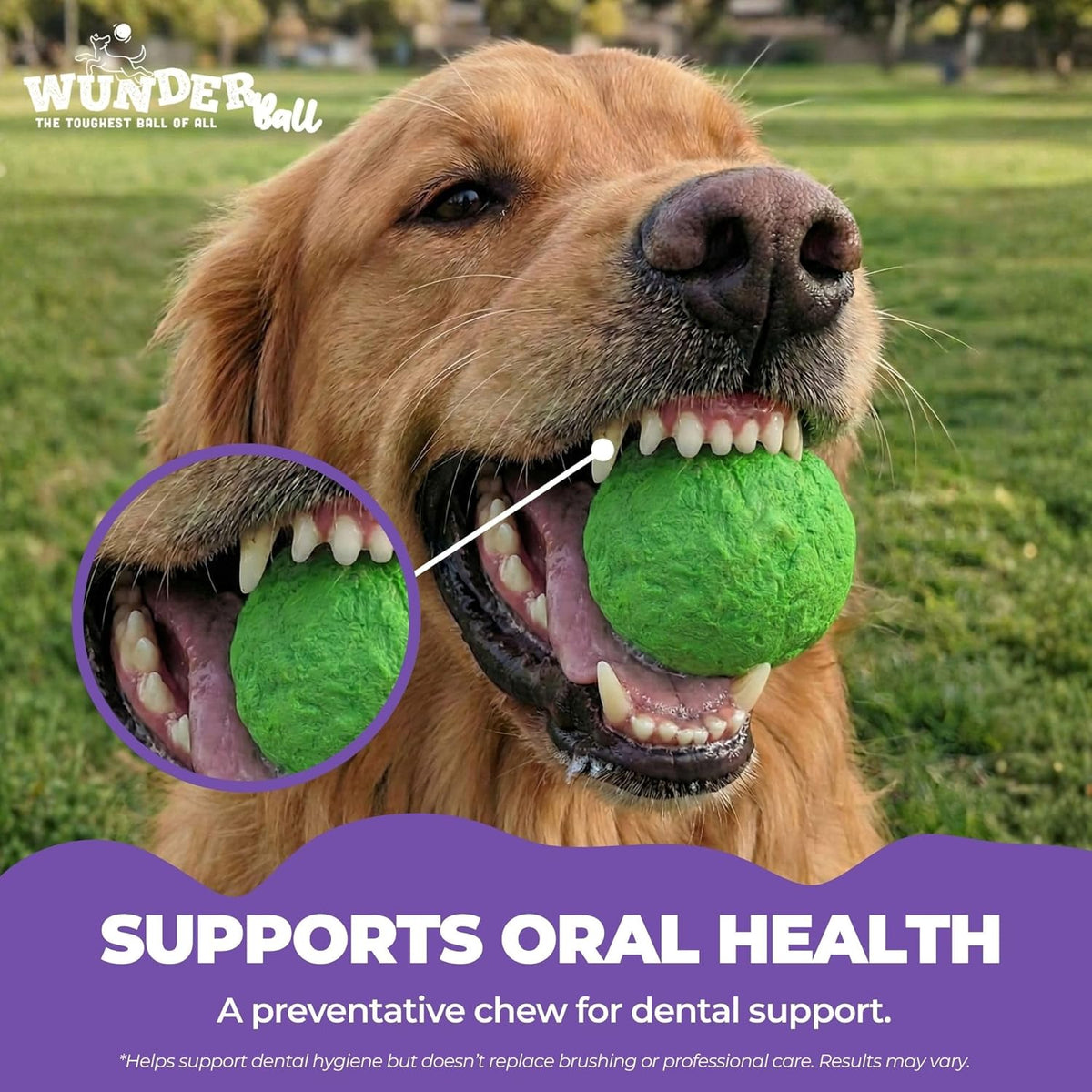 WUNDERball™ – The Ultimate Unpredictable Fetch Ball for Dogs
