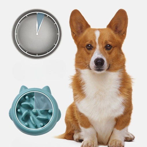 Anti Choking Slow Feeder Bowl