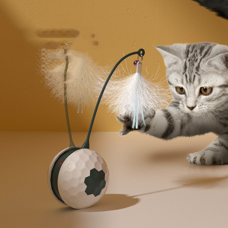 Electric Intelligent Bite Resistant Toy