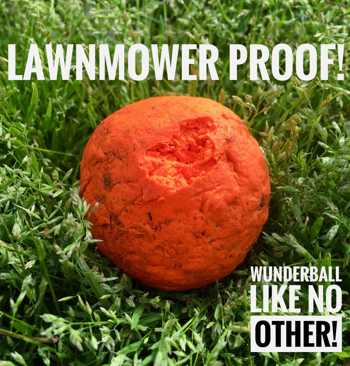 WUNDERball™ – The Ultimate Unpredictable Fetch Ball for Dogs