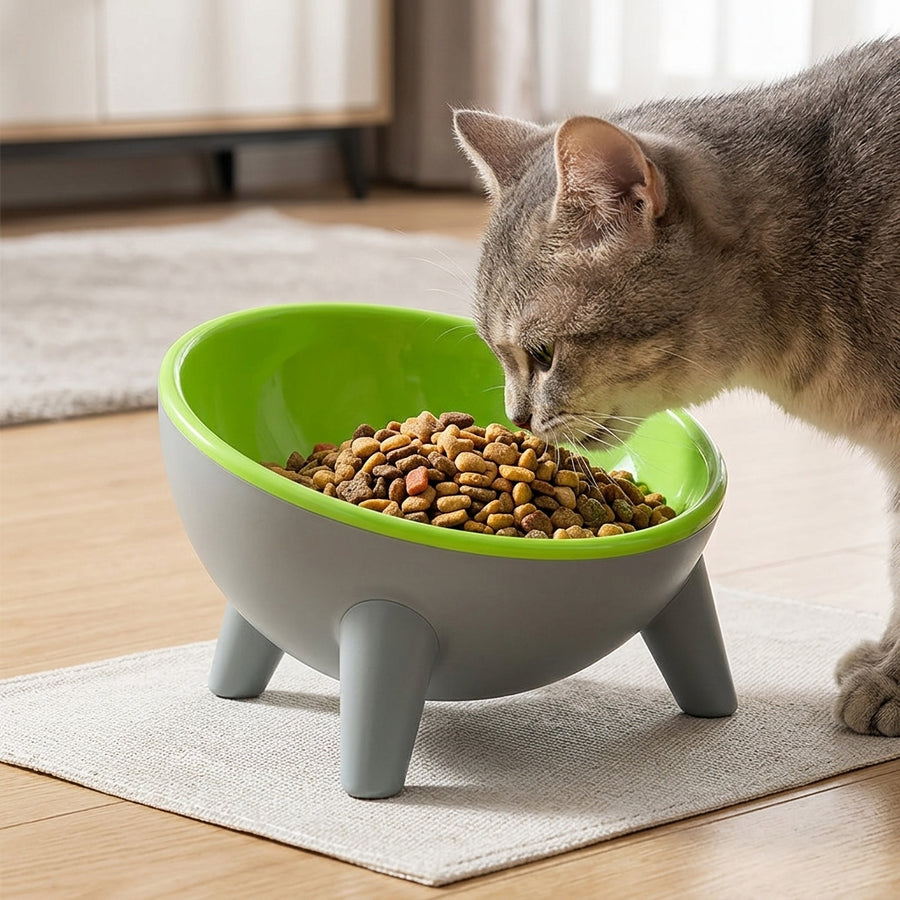 15° Elevated Pet Bowl with Stand – Comfortable Feeding for Cats & Dogs
