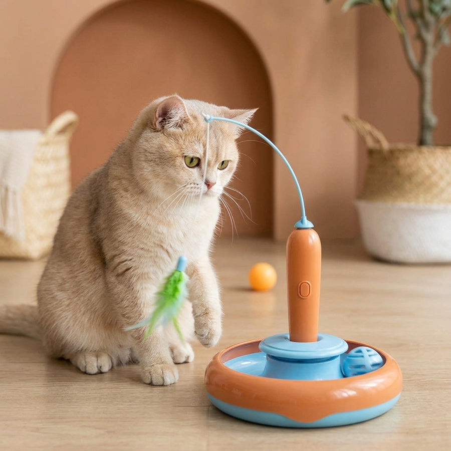 2 In 1 Pet Cat Toy With Feather