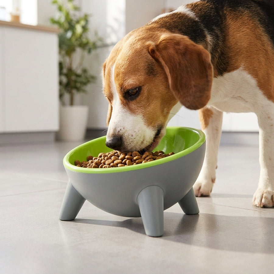 15° Elevated Pet Bowl with Stand – Comfortable Feeding for Cats & Dogs