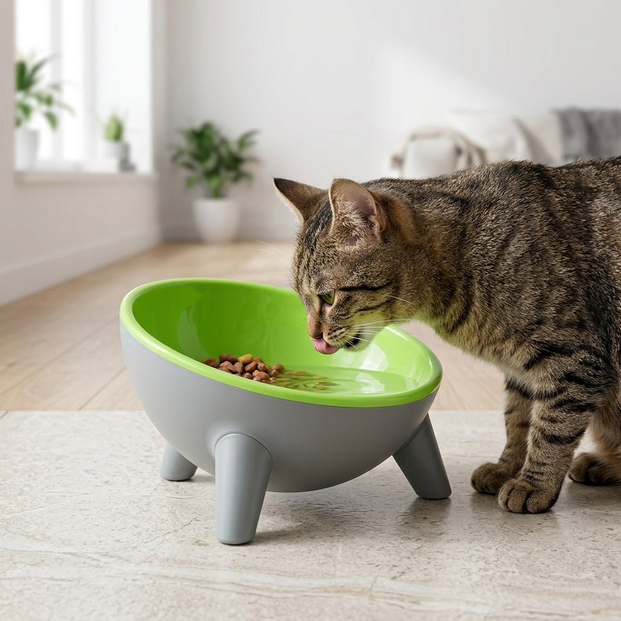 15° Elevated Pet Bowl with Stand – Comfortable Feeding for Cats & Dogs