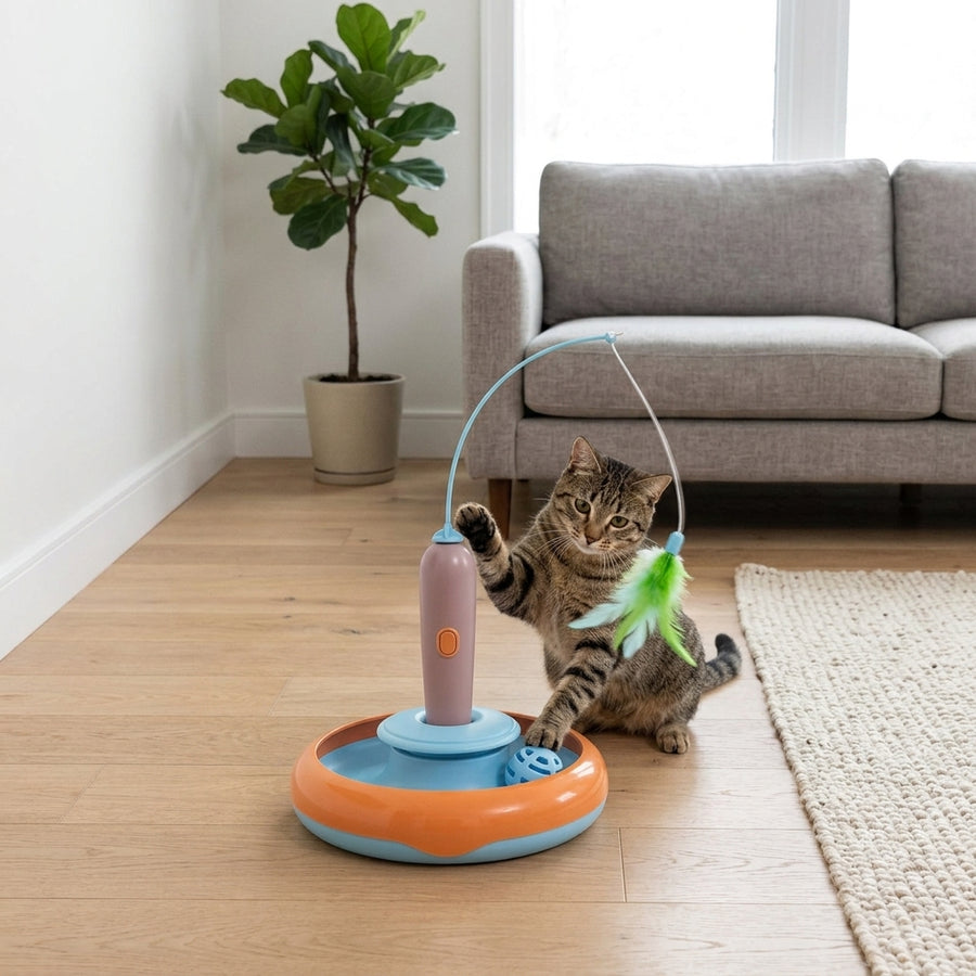 2 In 1 Pet Cat Toy With Feather