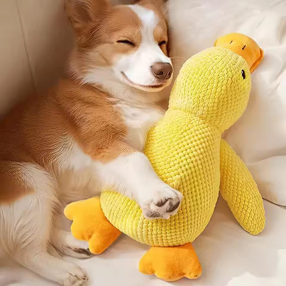 Calming Duck Dog Toy – Plush Comfort Companion for Dogs & Puppies
