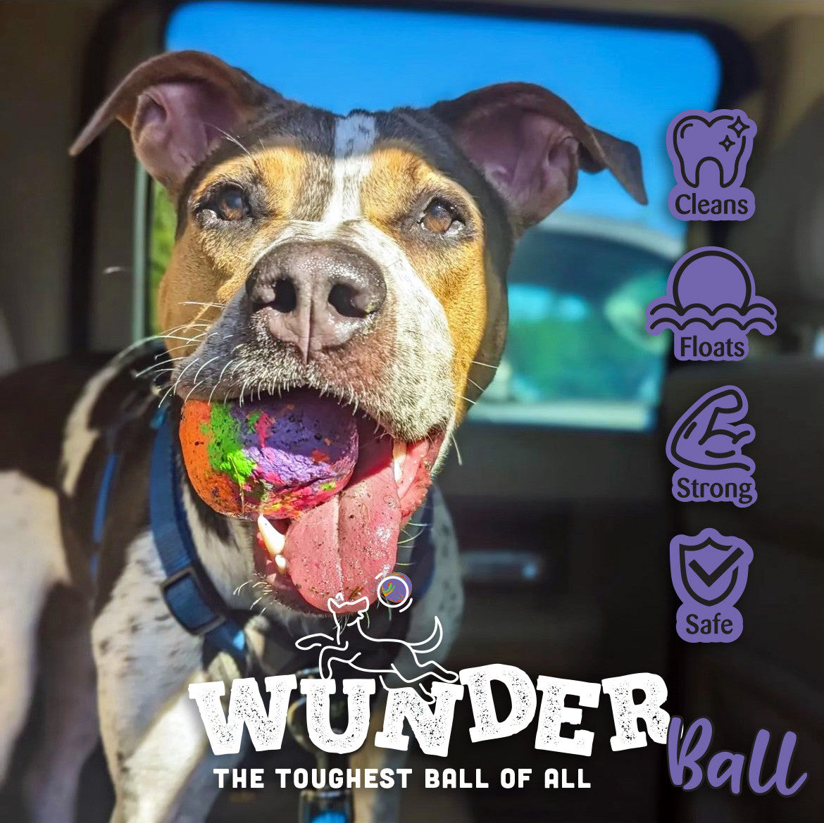 WUNDERball™ – The Ultimate Unpredictable Fetch Ball for Dogs