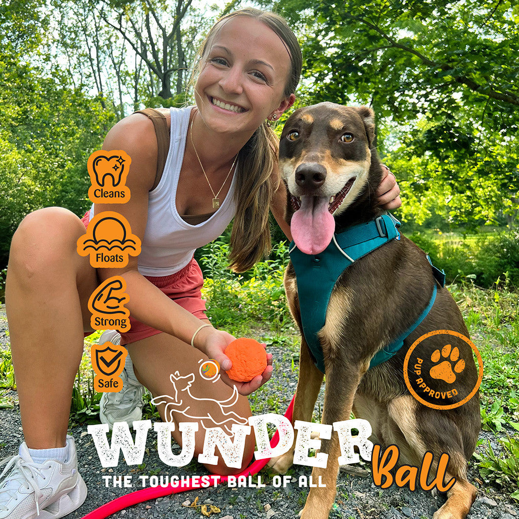 WUNDERball™ – The Ultimate Unpredictable Fetch Ball for Dogs