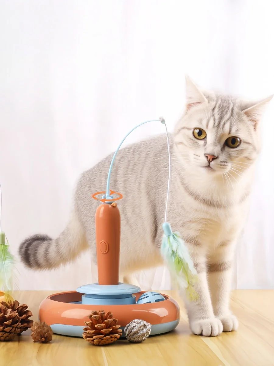 2 In 1 Pet Cat Toy With Feather