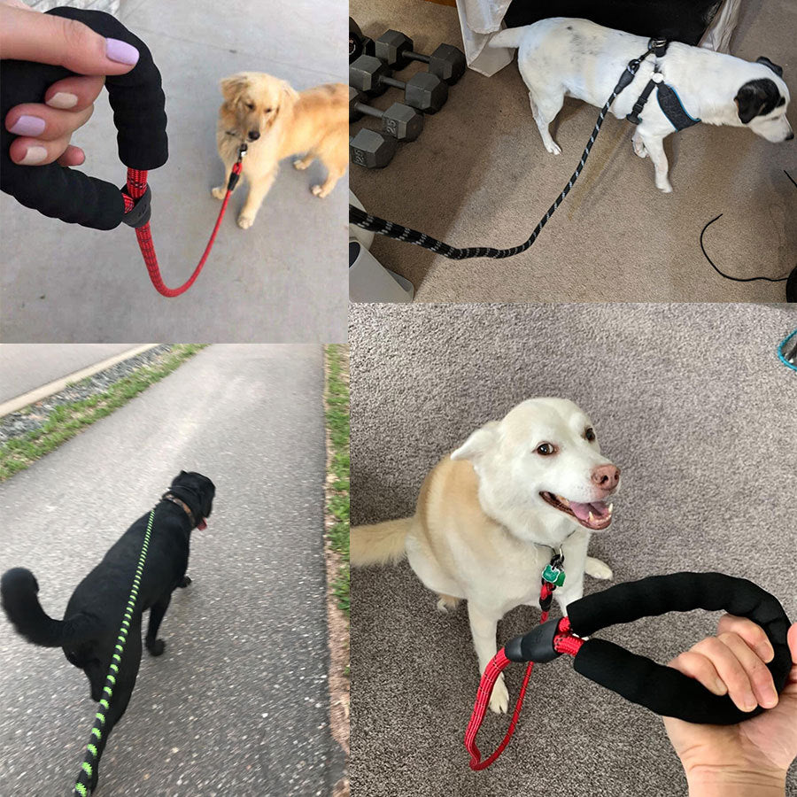 Dog Luminous Leash Chain
